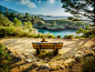 Bench with the View (Point Lobos) by Viktor Elizarov on 500px