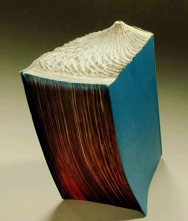 书中自然，Guy Laramee的自然书雕作品 #采集大赛#