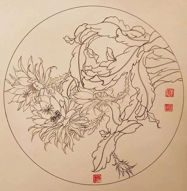 钢笔花卉白描达人叶志军先生的钢笔画分享