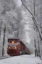 印第安納州，雪火車。 #美景# #道路# #街景#