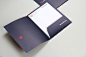 Almeida França on Behance