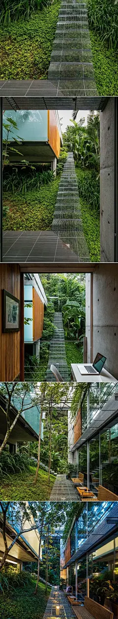 景观设计理念 - 低冲击楼梯，允许植物在它们之下生长|  CONTEMPORIST