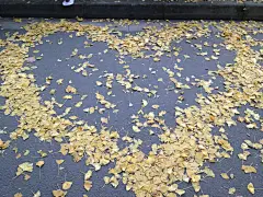 采集图片