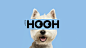 PET HOOH : e-commerce pet food brand brand experience design