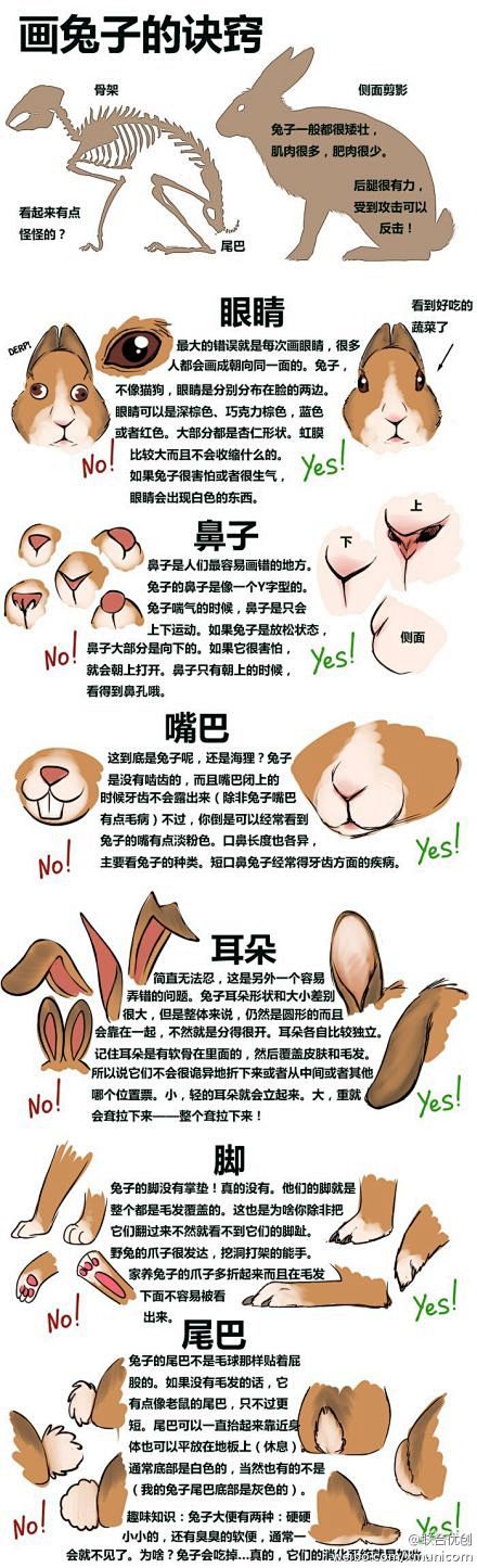 【绘画教程】画兔子的诀窍，非常棒的教程~...
