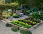 Garden Design Ideas, Renovations & Photos with with a Vegetable Patch