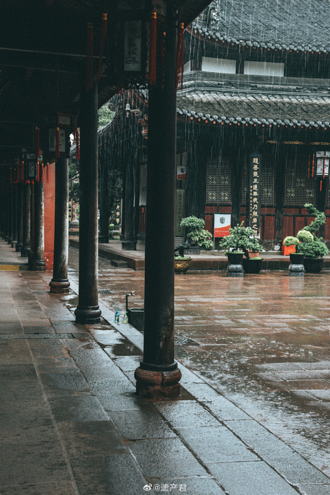 今日，雨中的成都文殊院，南方的古代寺院下雨太美了，“细雨蒙蒙落古松，独坐书斋伴孤灯。看罢黄卷推茶盏，懒听暮鼓与晨钟。”