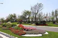 阿芙*乐尔采集到道路绿化
