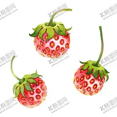 水彩创意插画水果蔬菜 【酷图网】西瓜,梨子,辣椒,樱桃,杨桃,水果,番茄,柠檬,橘子,图谱,食物,创意,插画,装饰图案,小清新,水彩,蔬菜