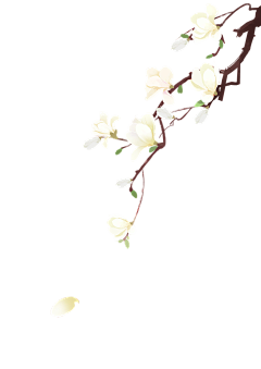 用户uR88H8B2采集到ppt素材