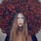 oprisco photography - portfolio