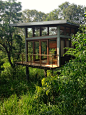 A Glass House In The Sri Lankan Jungle | SkyWithLemon. stories ...: 
