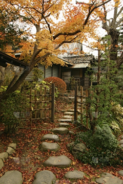 念去去的收集站采集到照片_室内街道店铺