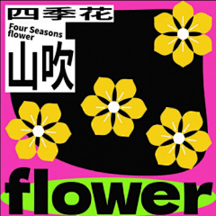 Machiko町子采集到方形图排版