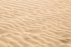 猫喵猫喵喵采集到沙漠、沙子