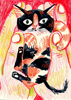 汁木采集到插画