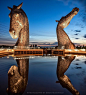 Kelpies Reflection - The Kelpies are Scotland's largest art installation. These 300 tonne, 98ft high horse head sculptures were created by Glasgow artist Andy Scott and sit in Helix Park, Falkirk.  www.photographybykarenmcdonald.co.uk: 