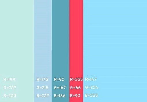 配色内的花瓣采集图片-南逍