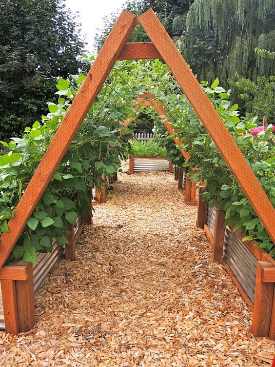 Love the Raised bed:...