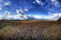 Photograph Northern Alberta Field by Evan Leeson on 500px