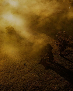 清翎er采集到雾景