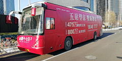 虎岫蔷薇采集到车贴
