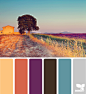 provence palette