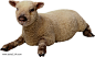羊PNG图像图片png免抠元素动物元素背景装饰免扣图片