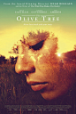 The Olive Tree#海报精选#