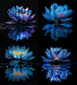 suyunkai_Blue_lotus_flower_on_the_water_surface_with_a_reflecti_0