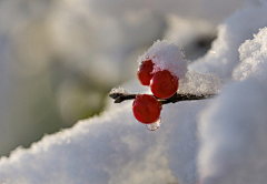 我唔嗨森采集到冰雪形状