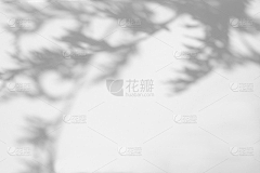 猪大仙上山采集到装饰性