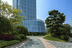 禅~🍎采集到绿化