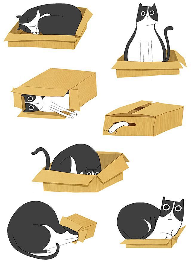 Cat in a box :-): 