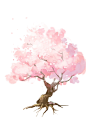 原创作品：樱花树