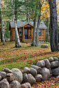 森林小木屋，麋鹿湖，密歇根州