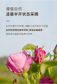 芥辣浪味仙~采集到食品