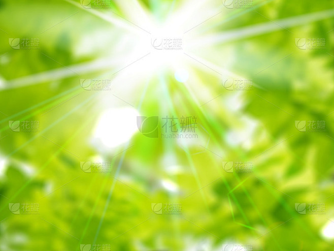 清新的绿光照耀着这个季节