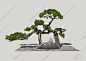 新中式造型树SU模型下载【ID:969566705】
