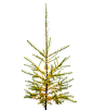 and now . . . the larch . . . the . . . larch