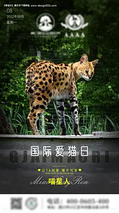编号：20221015085137398【享设计】源文件下载-国际爱猫日海报
