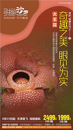 xd5ayoh9采集到参考