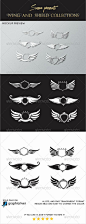 Wings and Shield Collections