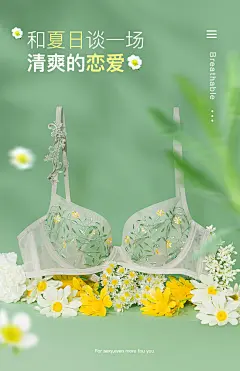 电商内衣合集（海报创意图）_平面图片素材_fairyのgirl的画板-花瓣网-066