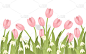 Spring pink tulip and galantus. Green flower patte