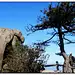 安徽九华山灵台方寸间
九华的其他秀丽景色
图片由重庆旅行社www.ytszg.com提供