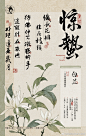 @茶颜悦色官方微博 的个人主页 - 微博