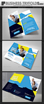Business Trifold Brochure Design  - Brochures Print Templates