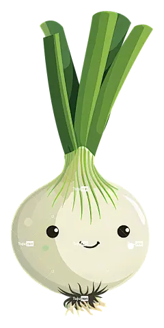 大葱植物鲜绿叶微笑—快乐的白洋葱植物绿叶