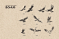 燕窝燕子动物线稿包装复古手绘鸟群图案元素AI设计素材 (5)